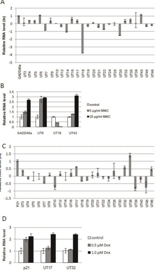 Figure 4. Alteration of nuclear long ncRNA expression by anticancer agents in HeLa Tet-off (TO) cells