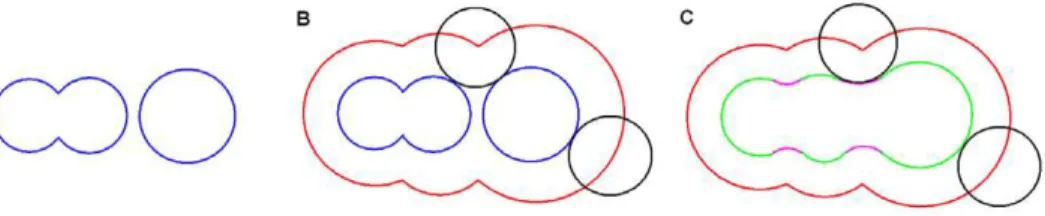 Figure 1. Illustration of three macromolecular surfaces in a 2D plane. (A) van der Waals surface (blue); (B) solvent-accessible surface (red); (C) molecular surface which includes contact surface (green) and reentrant surface (pink).