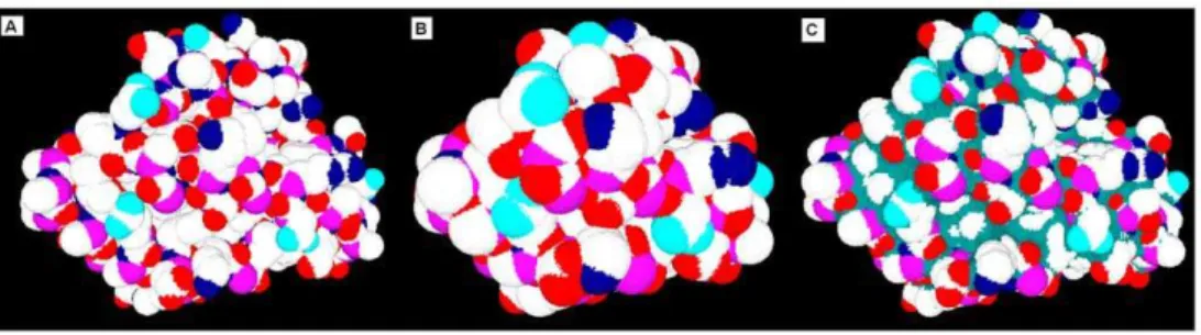 Figure 6. Comparison of accuracies of molecular surfaces at two different resolutions