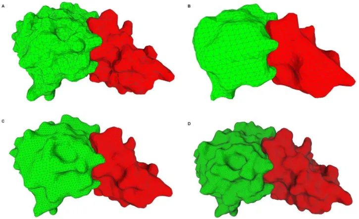 Figure 8. Molecular surface of a complex with the PDB ID 1brs. Chain A is in blue and chain D is in red