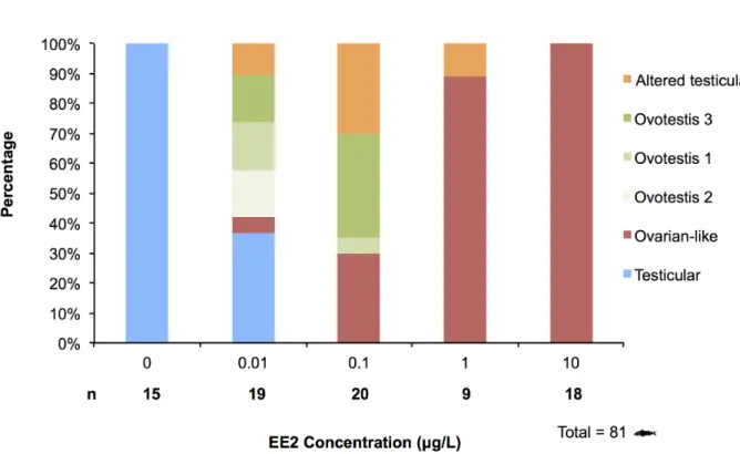 Figure 8. 11-ketosterone levels. This graph show the linear relationship between [11-ketosterone] and LOG[EE2] in rainbow trout fry gonads submitted chronically to increasing concentrations of EE2.