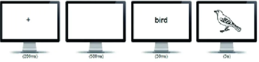 Figure 1 - The picture-naming task within the masked  priming paradigm.