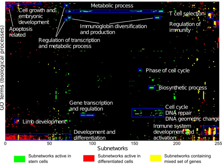 Figure 3. Functional summaries of the subnetworks. The 2D hierarchically clustered matrix of subnetworks’ functions highlights functional enrichments based on Gene Ontology annotations (biological process category) for the mouse counterparts of all conserv