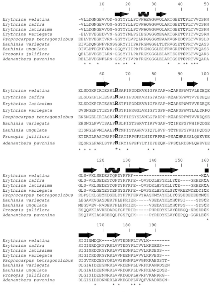 Figure 3. EvTI partial primary sequence alignment with sequences of known legume seeds Kunitz-type trypsin inhibitors: E