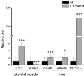 Figure 5. The expression of genes involved in b-oxidation, fatty acid synthesis and gluconeogenesis in LH mutant mice.