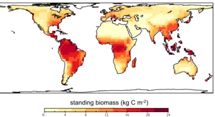 Figure 7. Carbon in terrestrial vegetation biomass of the control run. In this scenario the vegetation growth is constrained only by water, light, and temperature so that vegetation biomass reaches its maximum everywhere around the globe, while not account