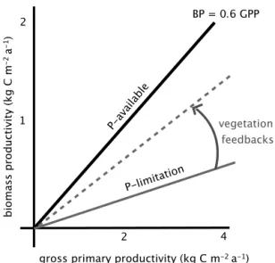 Figure 2. Theoretical relationship of P supply and biomass produc- produc-tivity (BP) efficiency