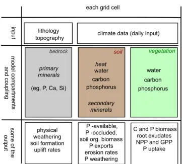 Figure 3. Diagram of the model structure (after Porada et al., 2010).