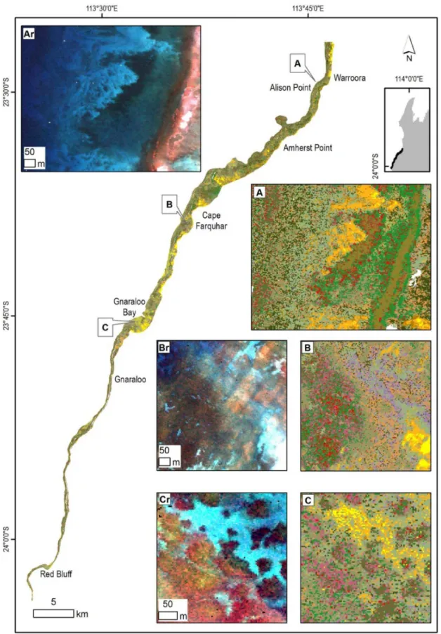 Figure 11. Overview of the southern region of the Ningaloo Reef with insets illustrating selected habitat maps with corresponding subsurface reflectance