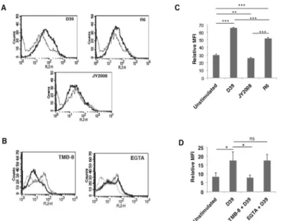 Fig 6. S. pneumoniae upregulates PD-L1 on DCs. For Panel A, mouse bone marrow derived DCs were infected with wild type S