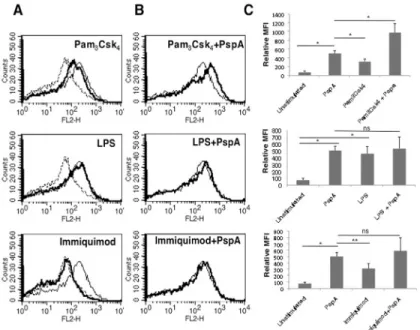 Fig 2. TLR2 and PspA synergistically stimulate PD-L1 up regulation. For Panel A, mouse bone marrow derived DCs were stimulated with either 15 μg/ml PspA, 1 μg/ml Pam 3 Csk 4 , 0.2 μg/ml LPS or 1 μg/ml Immiquimod for 24h and surface expression of PD-L1 was 