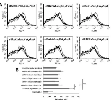 Fig 3. PspA induces PD-L1 expression in a MyD88 dependent pathway. Mouse bone marrow derived DCs were transfected with siRNAs against indicated molecules for 36h followed by stimulations with 1 μg/ml Pam 3 Csk 4 and 15 μg/ml PspA for 24h