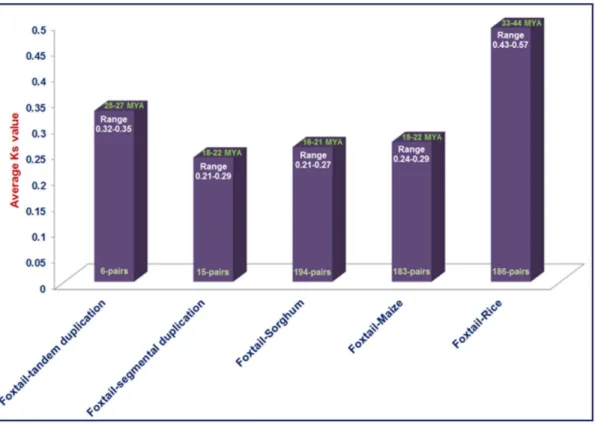 Figure 6. Time of duplication and divergence (MYA) based on synonymous substitution rate (Ks) estimated using duplicated SiWD40 gene pairs of foxtail millet and orthologous SiWD40 gene pairs between foxtail millet and rice or maize or sorghum.