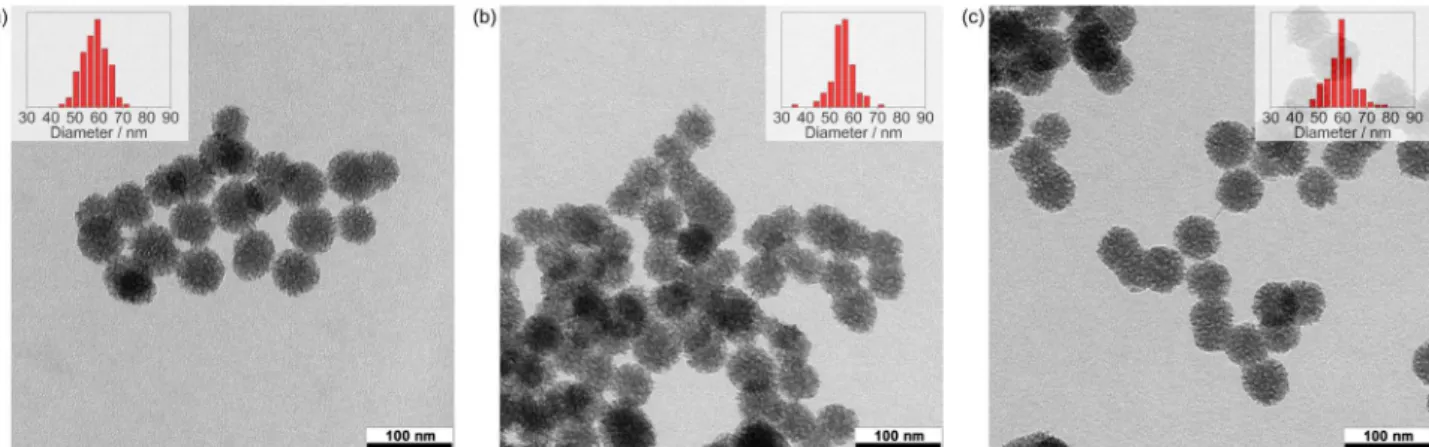 Figure 1. TEM micrographs (bright field mode) of samples (a) Si-OH, (b) Si-NH 2  and (c) Si-P(CH 3 )O 3 H