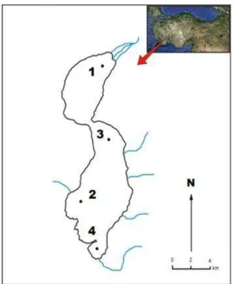 Fig. 1. Map of study area, with the location of sampling stations