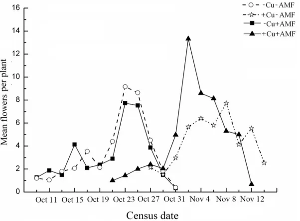 Fig 2. Mean flowering amplitudes for E. splendens under different treatments. Census intervals were 2 days