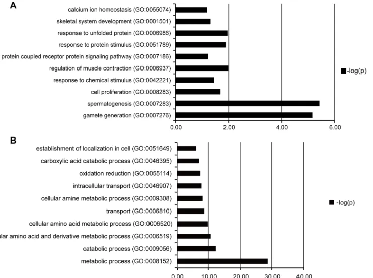 Fig 6. Pathway of genes up-regulated and down-regulated in FSGS patients compared with MCD patients analyzed by using Enrichr GO Biological Process program