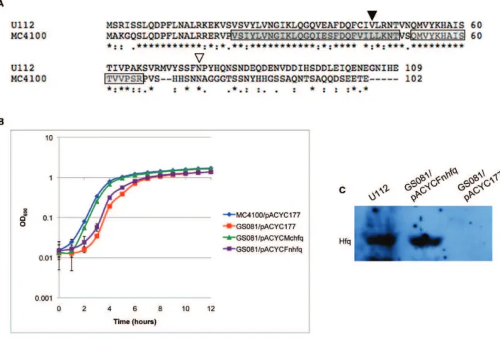 Figure 2. Complementation of E. coli hfq mutant with F. novicida Hfq. (A) Alignment of the Hfq proteins from F