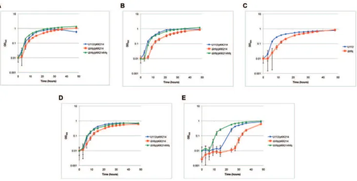 Figure 7. Quantification of hfq expression during stress exposure using quantitative real-time PCR