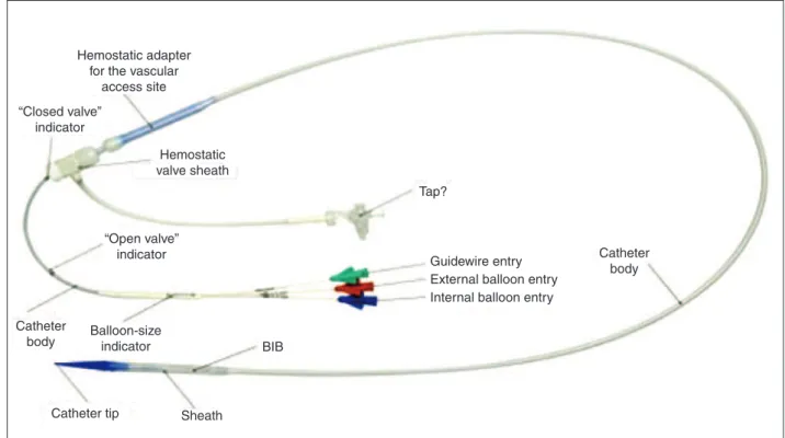 Figure 2 – Delivery System (Ensemble  ) developed specifically for the Melody   valve implantation