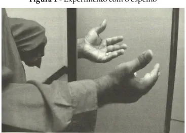 Figura 1 - Experimento com o espelho