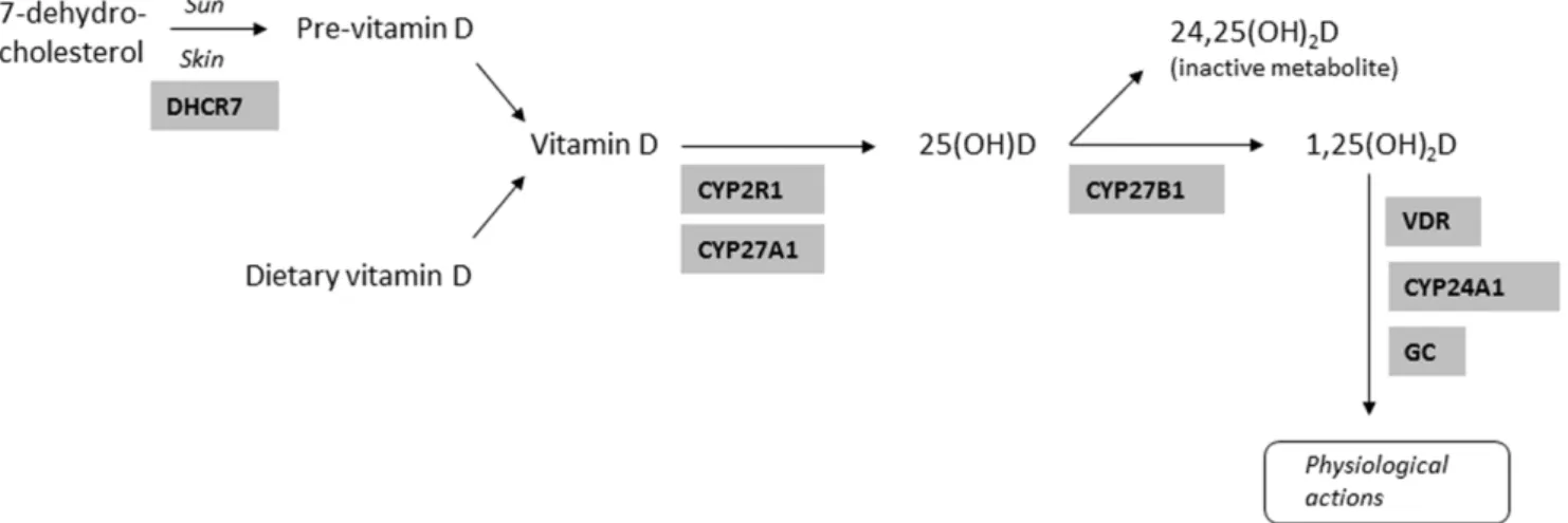 Figure 2 illustrates how this concept is applied to inform causal inference.