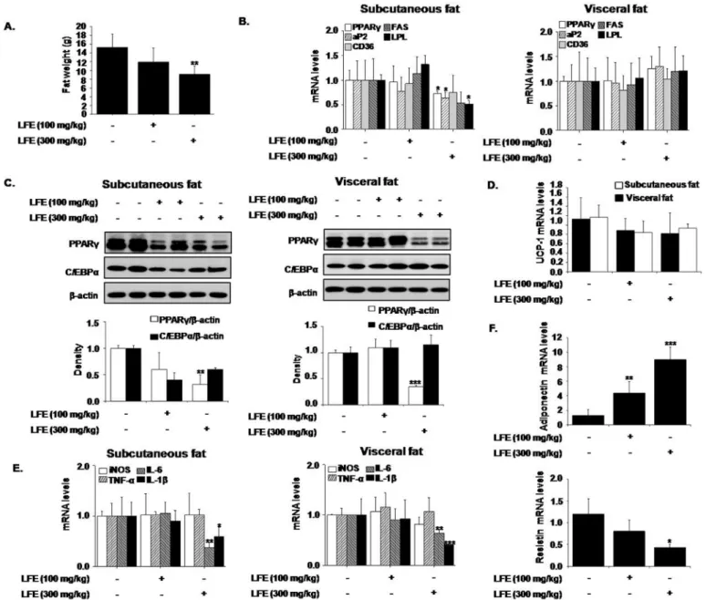 Fig 4. Effects of LFE on fat tissues in ob/ob mice. After 8 weeks of LFE administration, total fat weights were measured (A)