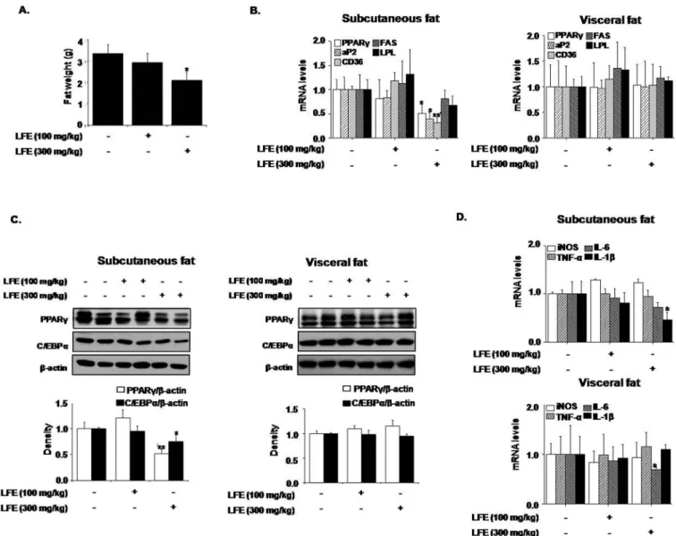 Fig 7. Effects of LFE on fat tissues in KKAy mice. After 8 weeks of LFE administration, total fat weights were measured (A)