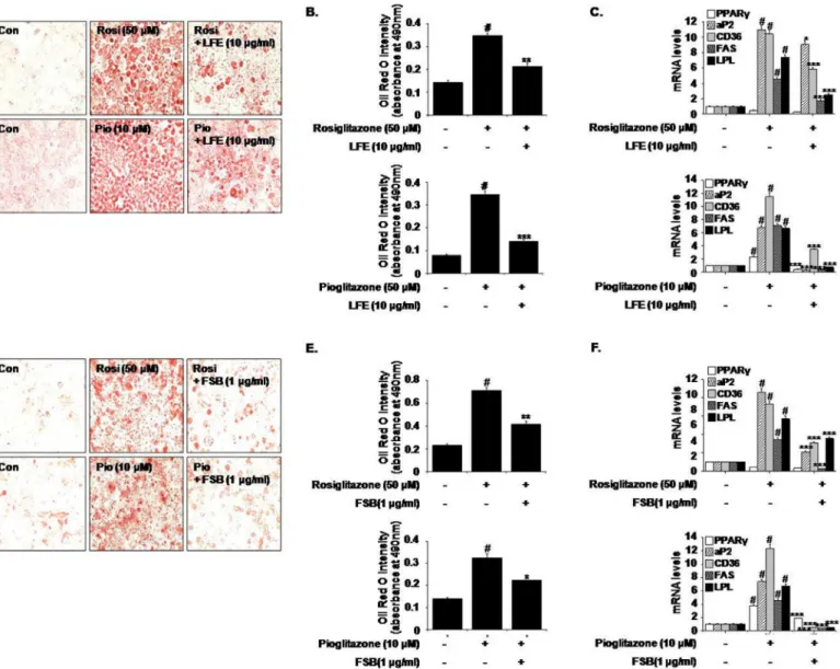 Fig 1. Effects of LFE or FSB on rosiglitazone- and pioglitazone-induced adipocyte differentiation