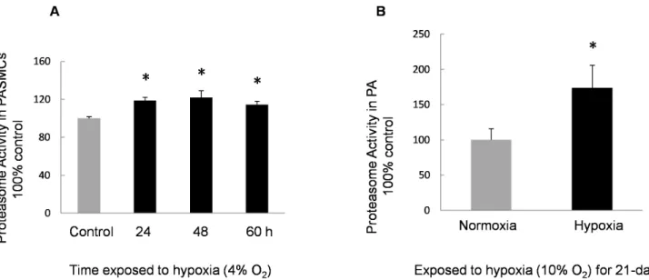 Figure 4. Proteasome activity of PASMCs and PA exposed to hypoxia. A: Activity of 20S proteasome in PASMCs incubated with normoxia or hypoxia (4% O 2 , 60 h)