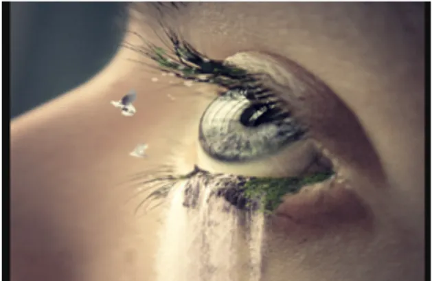 Figure 1 – Cry a waterfall (1) 16