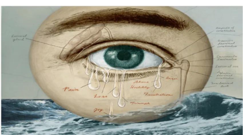 Figure 3 – Cry an ocean 18