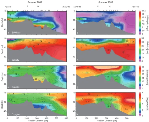 Fig. 4. A south-north section across the Eastern Laptev Sea shelf during TD XII (summer 2007) and TD XIV (summer 2008) showing the distribution of SPM optic concentration (a, e; mg l −1 ), salinity (b, f; psu), silicate concentration (c, g; µmol l − 1 ), a