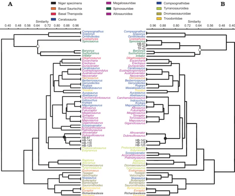 Fig. 4. Dendrogram obtained from the cluster analysis of the theropod teeth. A. Database from Hendrickx and Mateus (2014) and the HB site