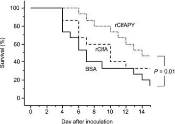 Figure 4. The ClfA fibrinogen binding site affects virulence of strain LS-1. Survival of mice after inoculation with 9.4, 7.9, 10.7 or 9.86 10 6 cfu of S.aureus strain LS-1, and clfAPYI, clfAPYII or clfA null mutants, respectively