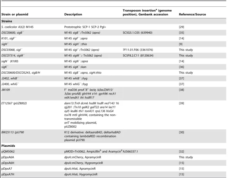 Table 2. Oligonucleotides.