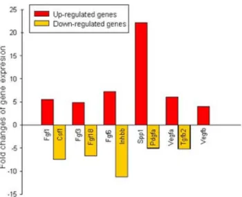 Figure 7. Supperarray profiling of 88 growth factor related genes in Sca1 + /CD31 2 cell and IGF+HGF treated Sca-1 + /CD31 2 cells