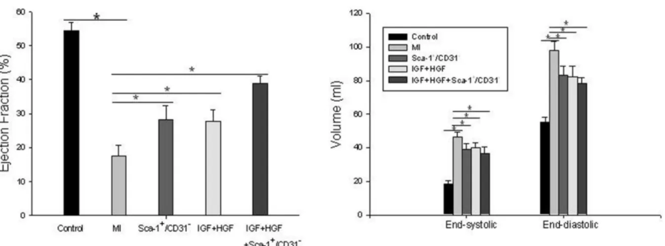 Figure 2. Effects of IGF+HGF supplementation increase the engraftment rates of transplanted Sca-1 + /CD31 2 cells