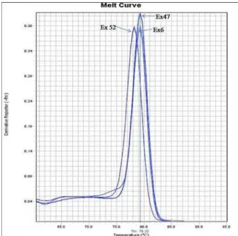 Fig. 2 Melting curve analysis of real-time PCR for DMD exons  6, 47 and 52.
