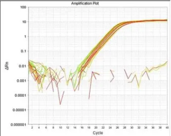 Fig.  3  Ampliication  curve  analysis  for  DMD  exons  6,  47  and  52,