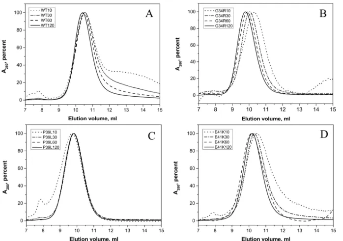 Fig 5. Size-exclusion chromatography of the wild type HspB1 (A) and its G34R (B), P39L (C), and E41K (D) mutants performed in buffer S (20 mM Tris/acetate pH 7.6, containing 150 mM NaCl, 0.1 mM EDTA, 0.1 mM PMSF and 15 mM ME) on a Superdex 200 column at ro