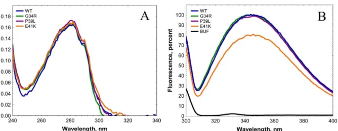 Fig 2. Absorbance (A) and fluorescence (B) spectra of the wild type HspB1 and its N-terminal mutants