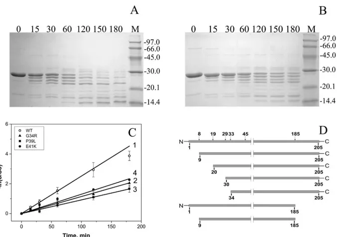 Fig 4. Limited chymotrypsinolysis of HspB1 and its N-terminal mutants. (A) and (B) SDS PAGE analysis of samples obtained after chymotrypsinolysis of the wild type HspB1 (A) and its G34R (B) mutant