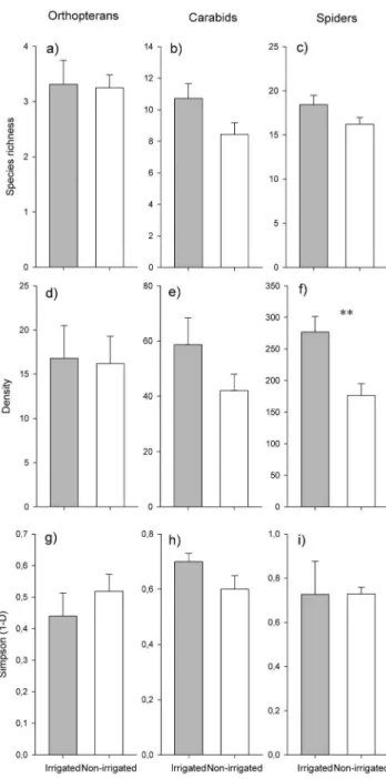 Figure 2. Comparison of species richness (a–c), densities (d–f), and Simpson diversity (g–i) of orthopterans, carabids, and spiders between irrigated and non-irrigated meadows (mean and SE)