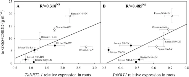 Fig 5. Relations between expression levels of genes coding for root nitrate transporters and N uptake from flowering to GS65+250 DD