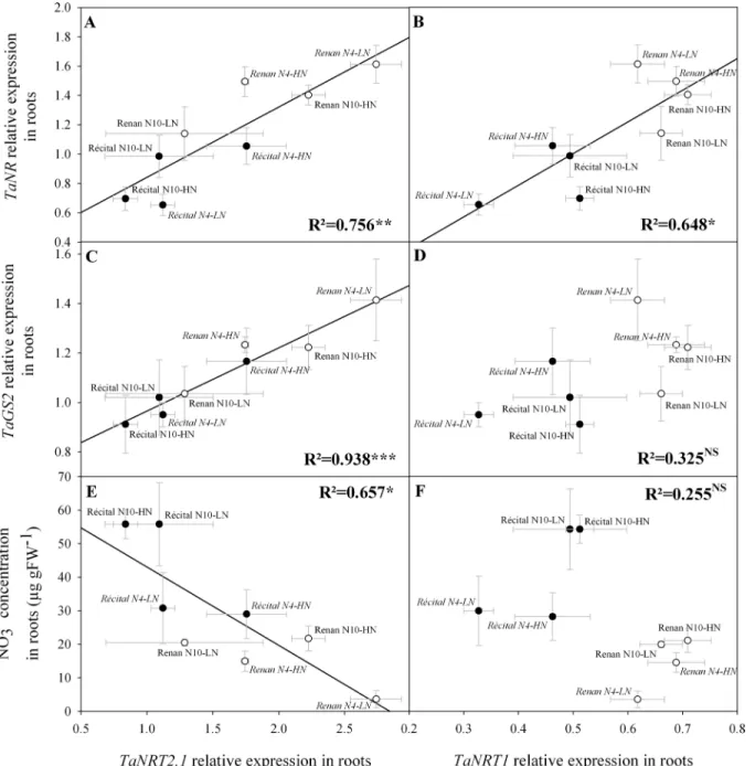 Fig 6. Relations between relative expression levels of genes coding for root nitrate transporters and relative expression levels of genes involved in nitrate assimilation, or nitrate concentration in roots at GS65+250 DD