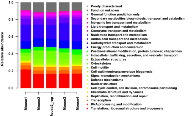 Fig 6. Distribution of COG functional categories of the mouse cecal metatranscriptome.