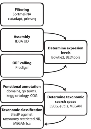 Fig 1. Metatranscriptome analysis workflow. Details of the programs used are described in the methods section.