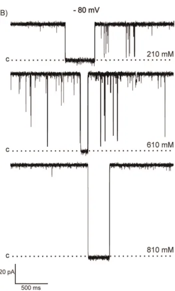Figure 5. Open probabilities of hRyR2-PFR. A plot of open probability (Po) plotted against voltage is shown in symmetrical 210 mM KCl