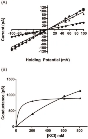 Figure 7. Monovalent-Divalent discrimination in hRyR2-PFR.